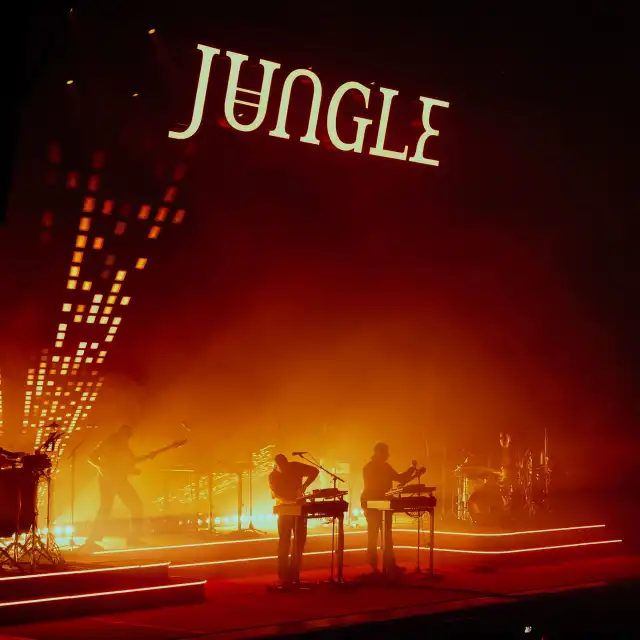 Jungle en Madrid