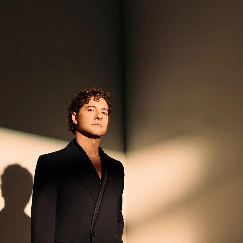 DAVID BISBAL