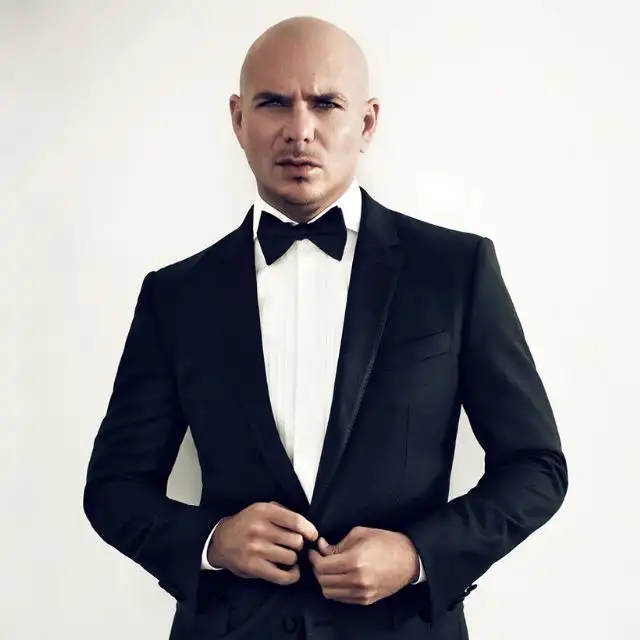 pitbull