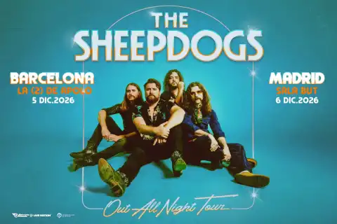 Sheepdogs