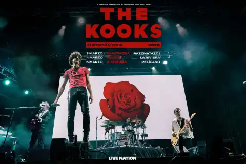 THE KOOKS